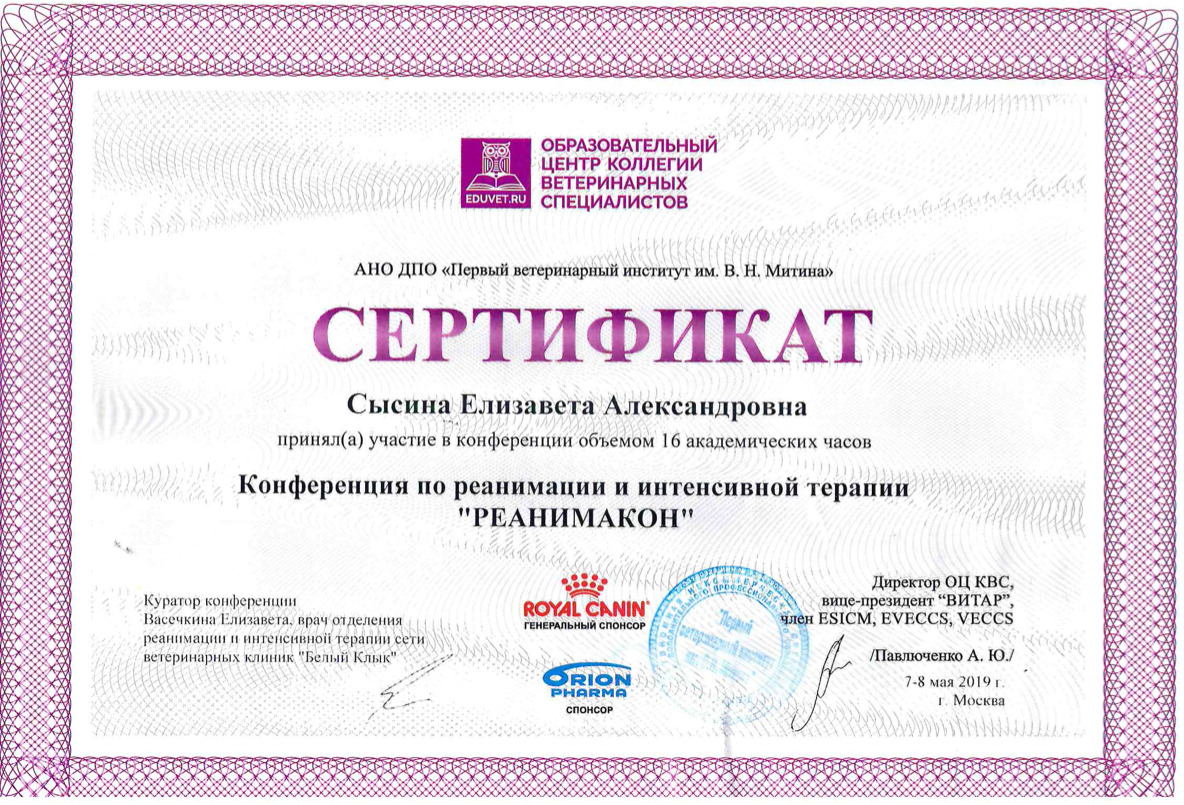 Документ или сертификат