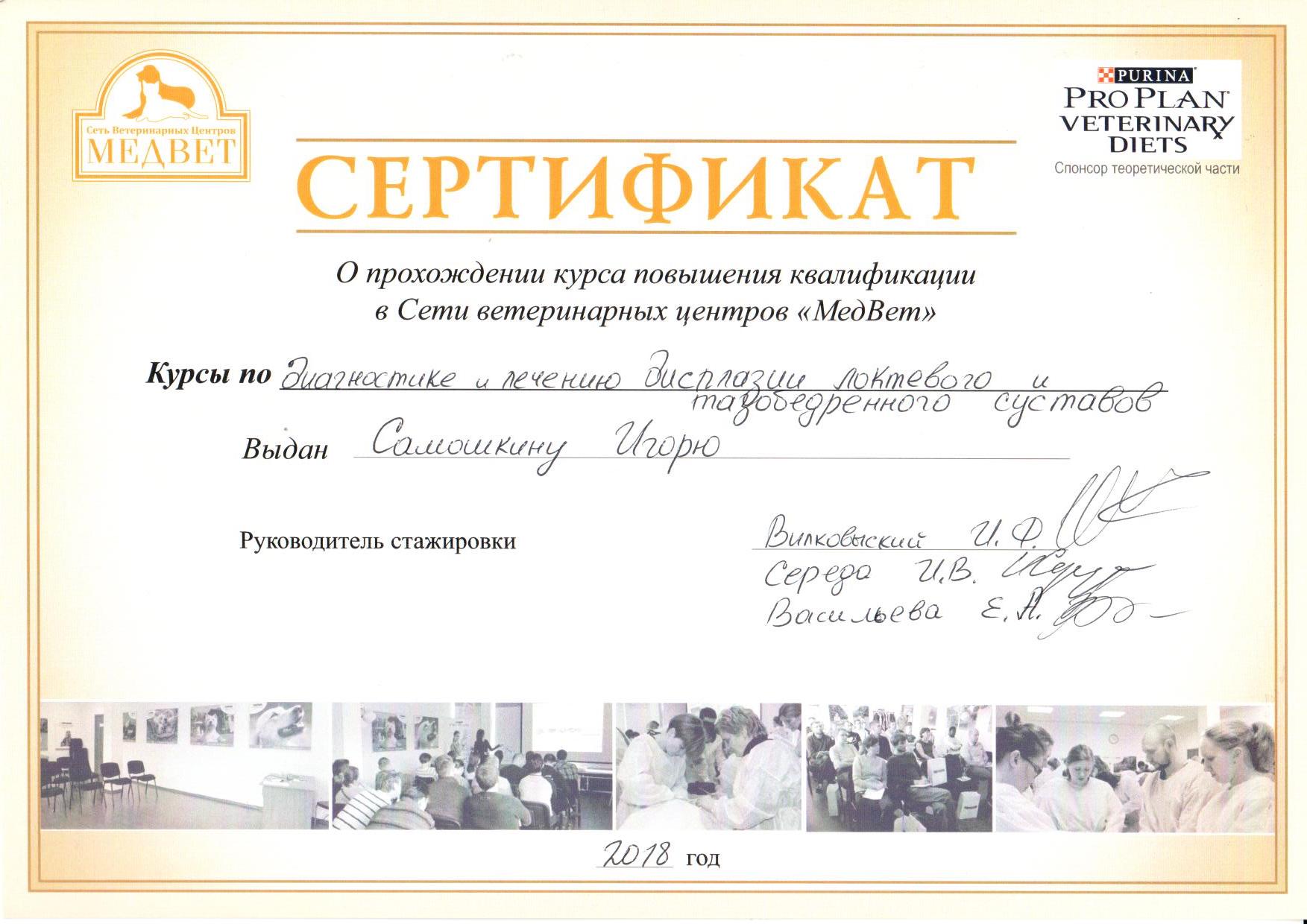 Документ или сертификат