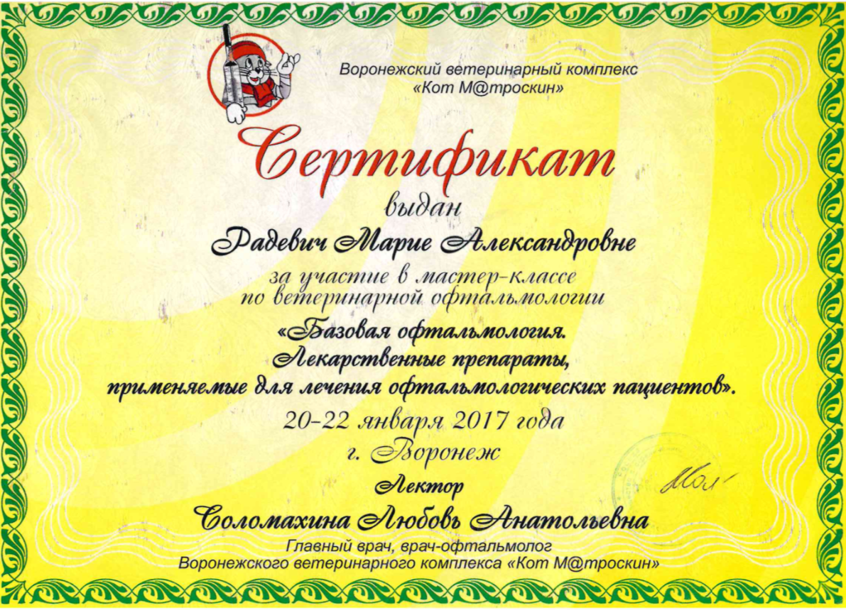 Документ или сертификат