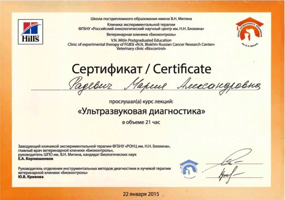 Документ или сертификат