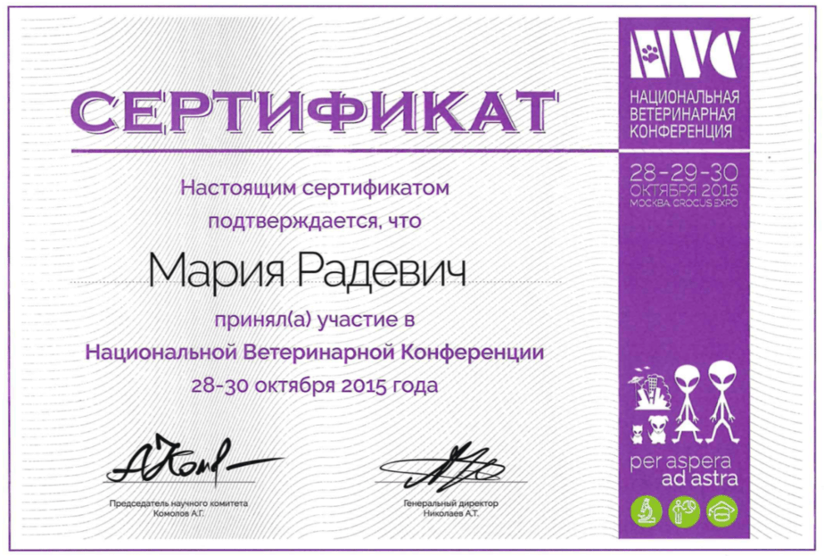 Документ или сертификат