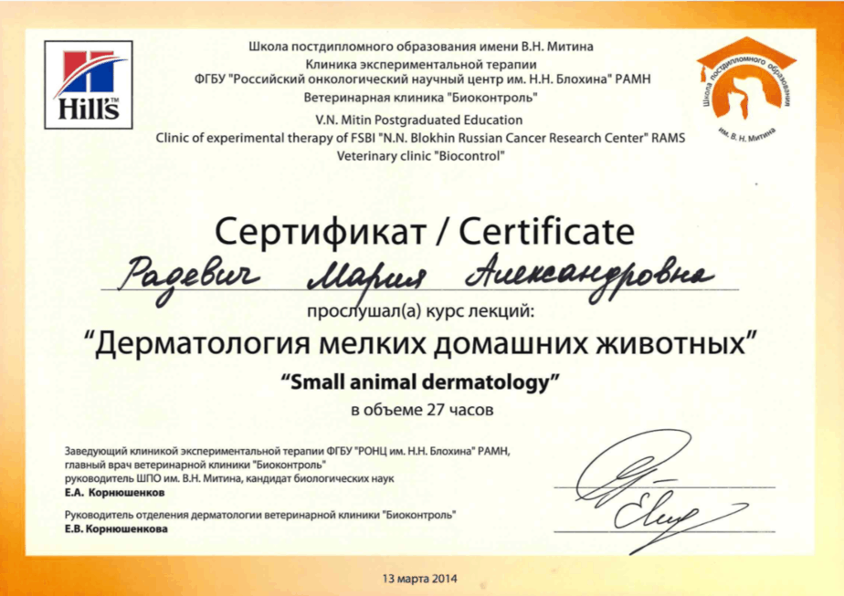 Документ или сертификат