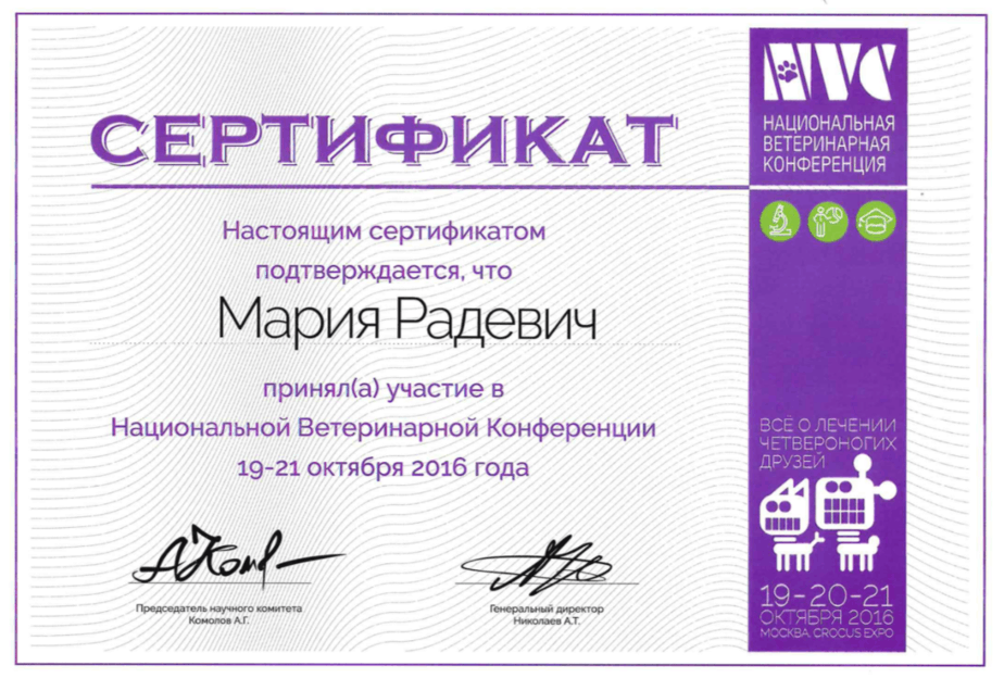 Документ или сертификат