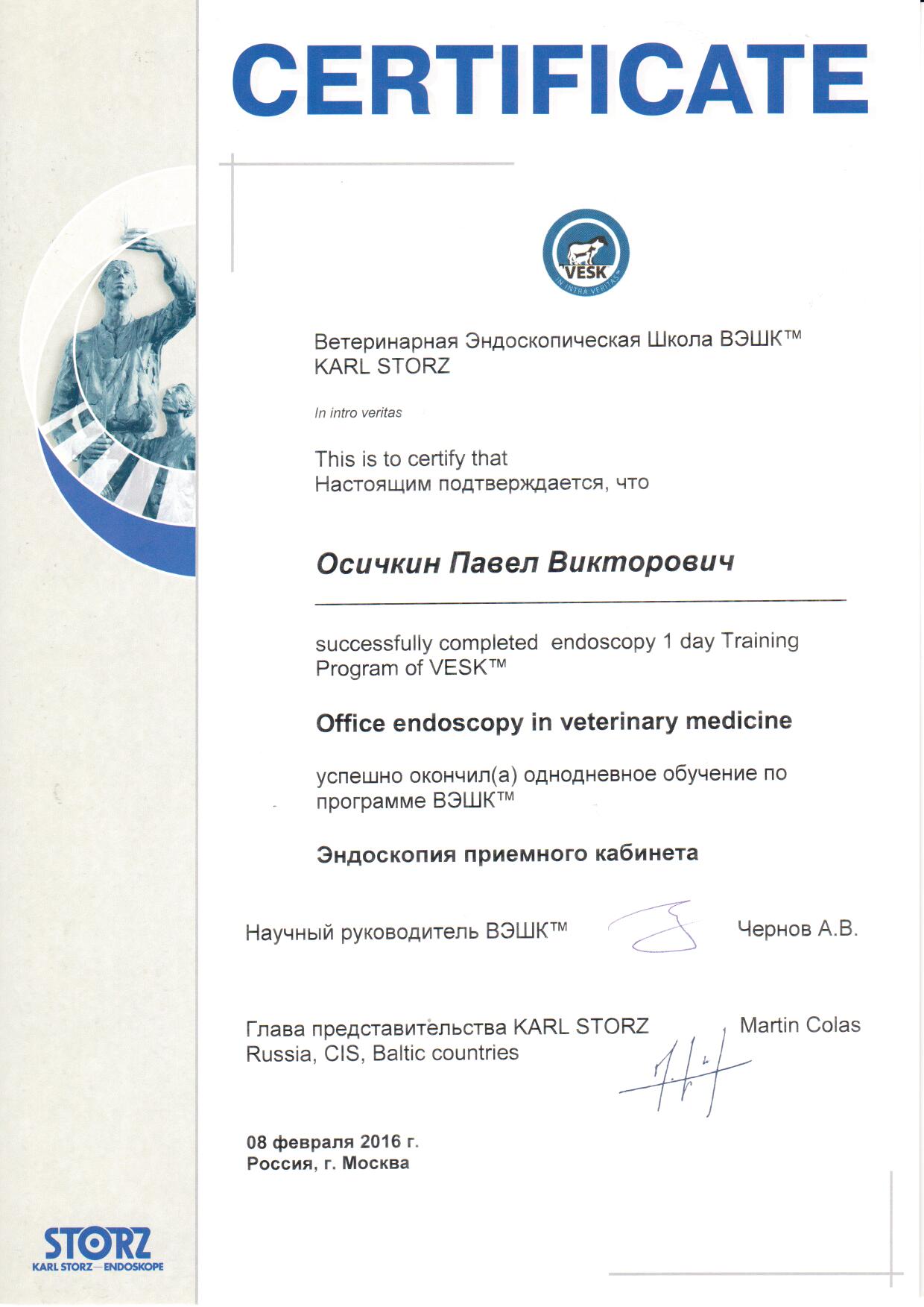 Документ или сертификат