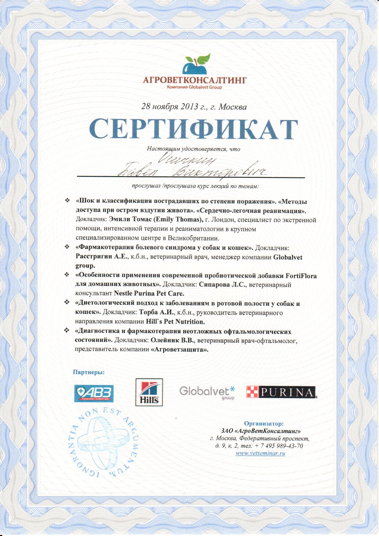 Документ или сертификат