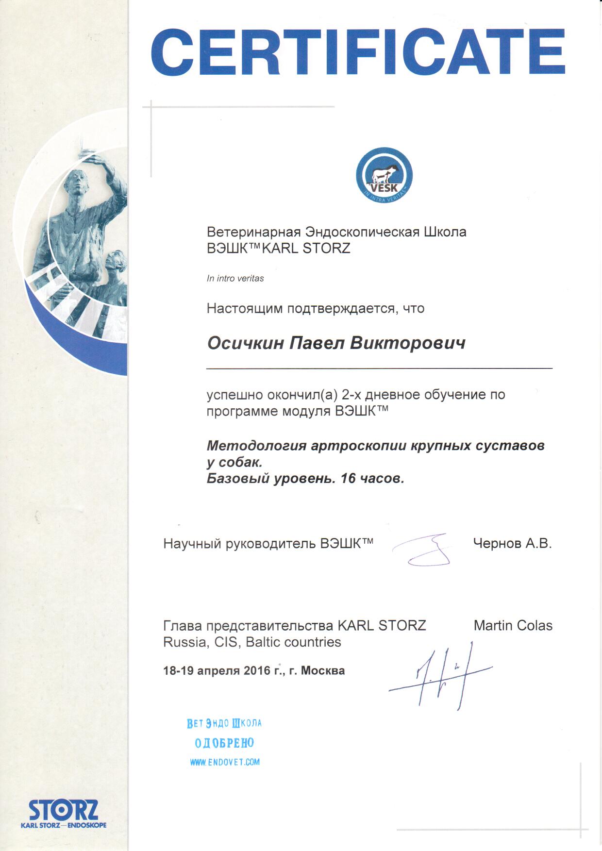 Документ или сертификат