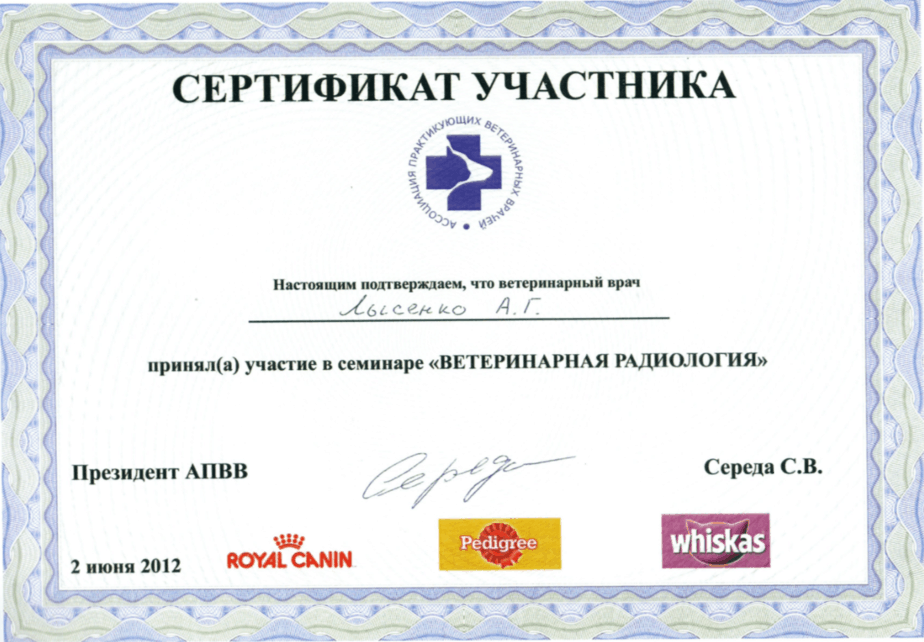 Документ или сертификат