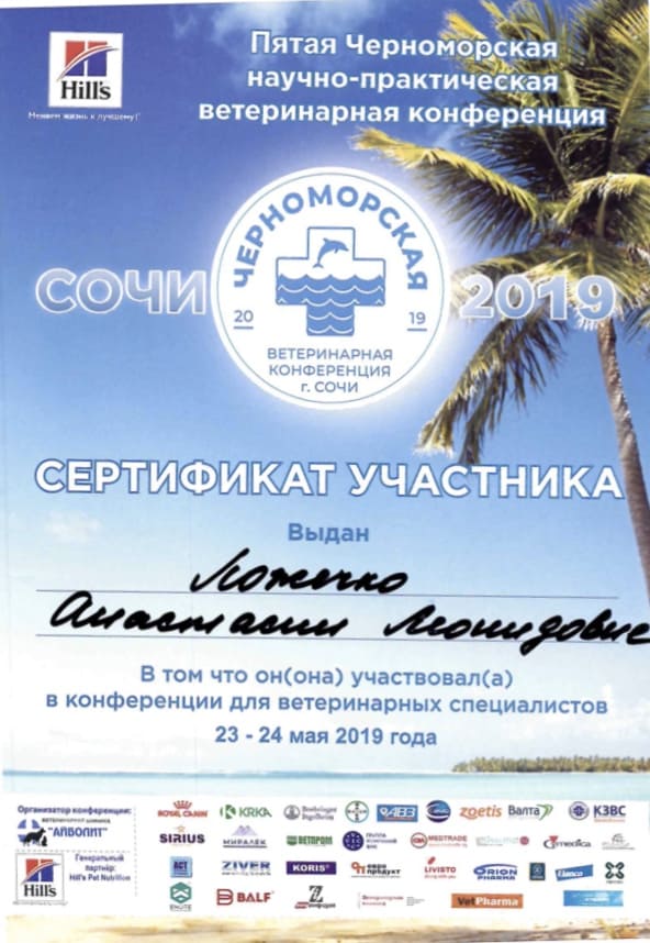 Документ или сертификат