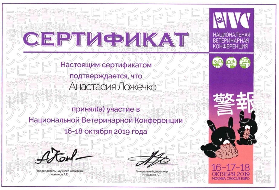 Документ или сертификат