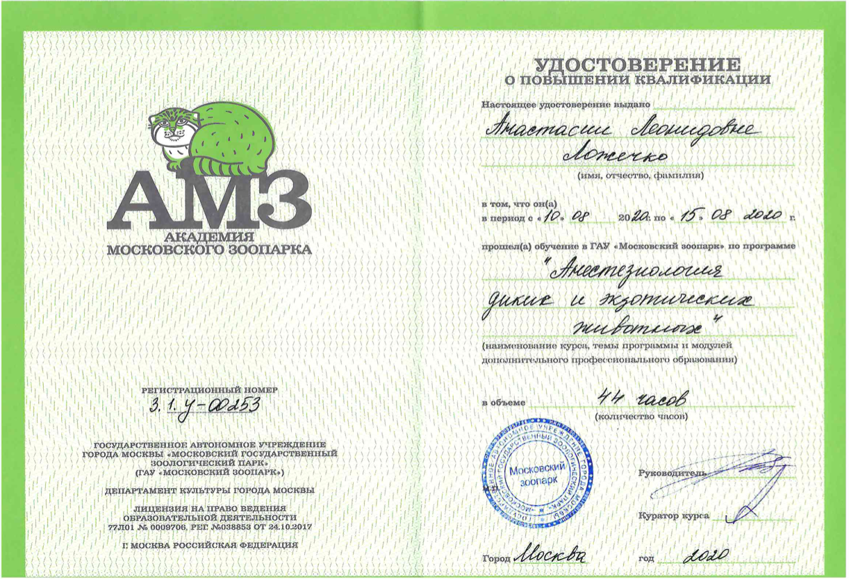Документ или сертификат