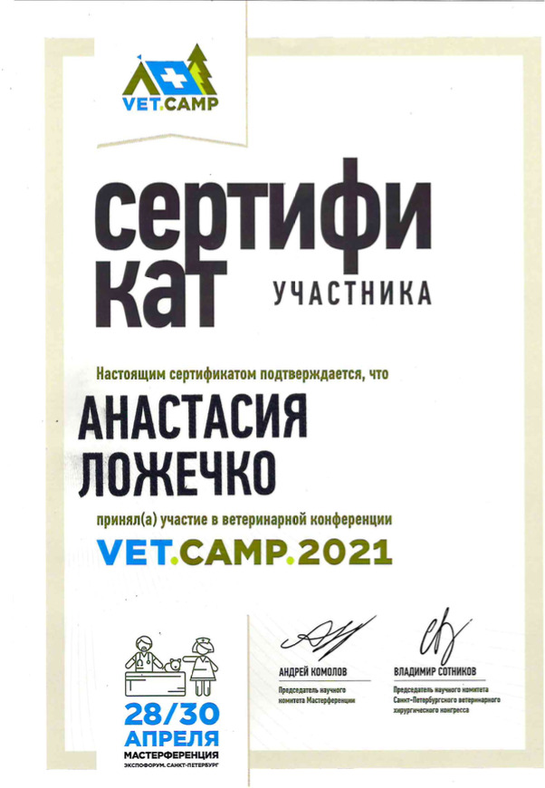 Документ или сертификат