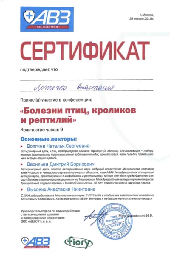 Документ или сертификат
