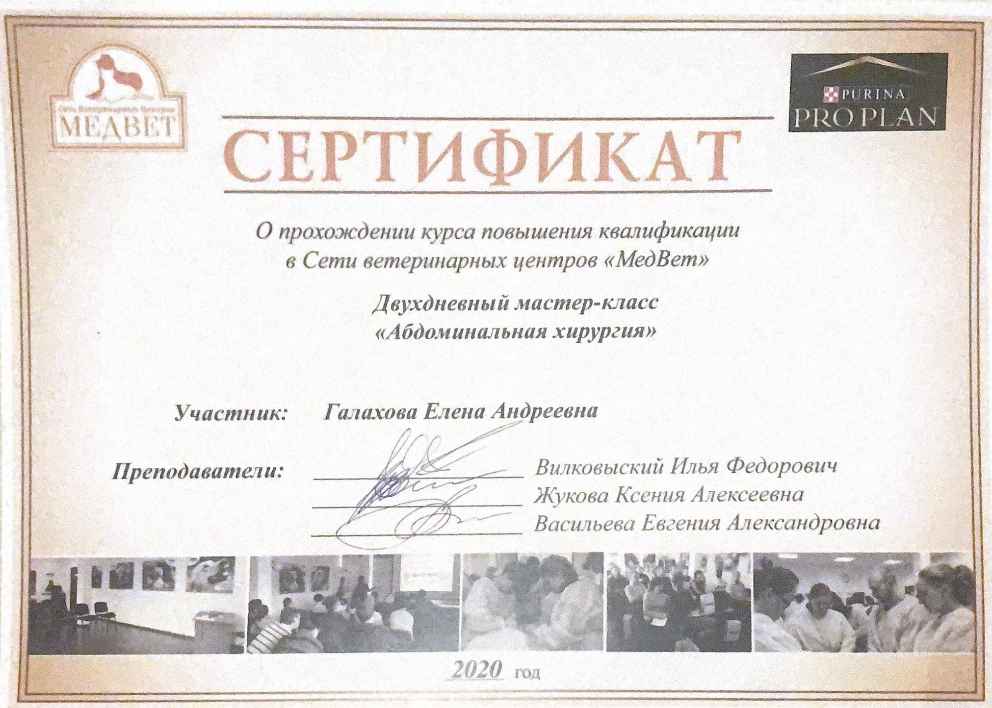 Документ или сертификат
