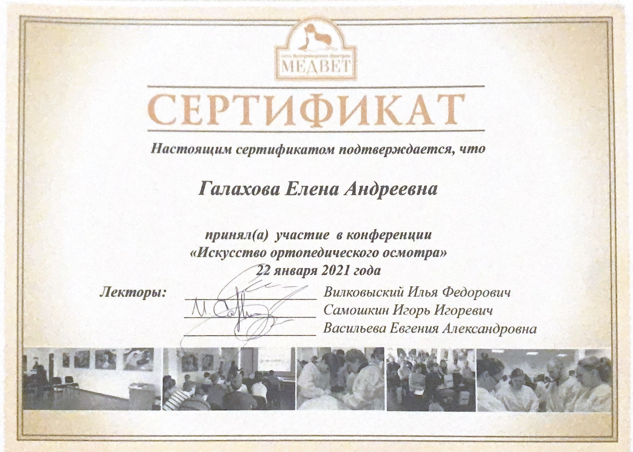 Документ или сертификат