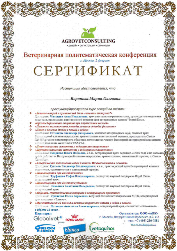 Документ или сертификат