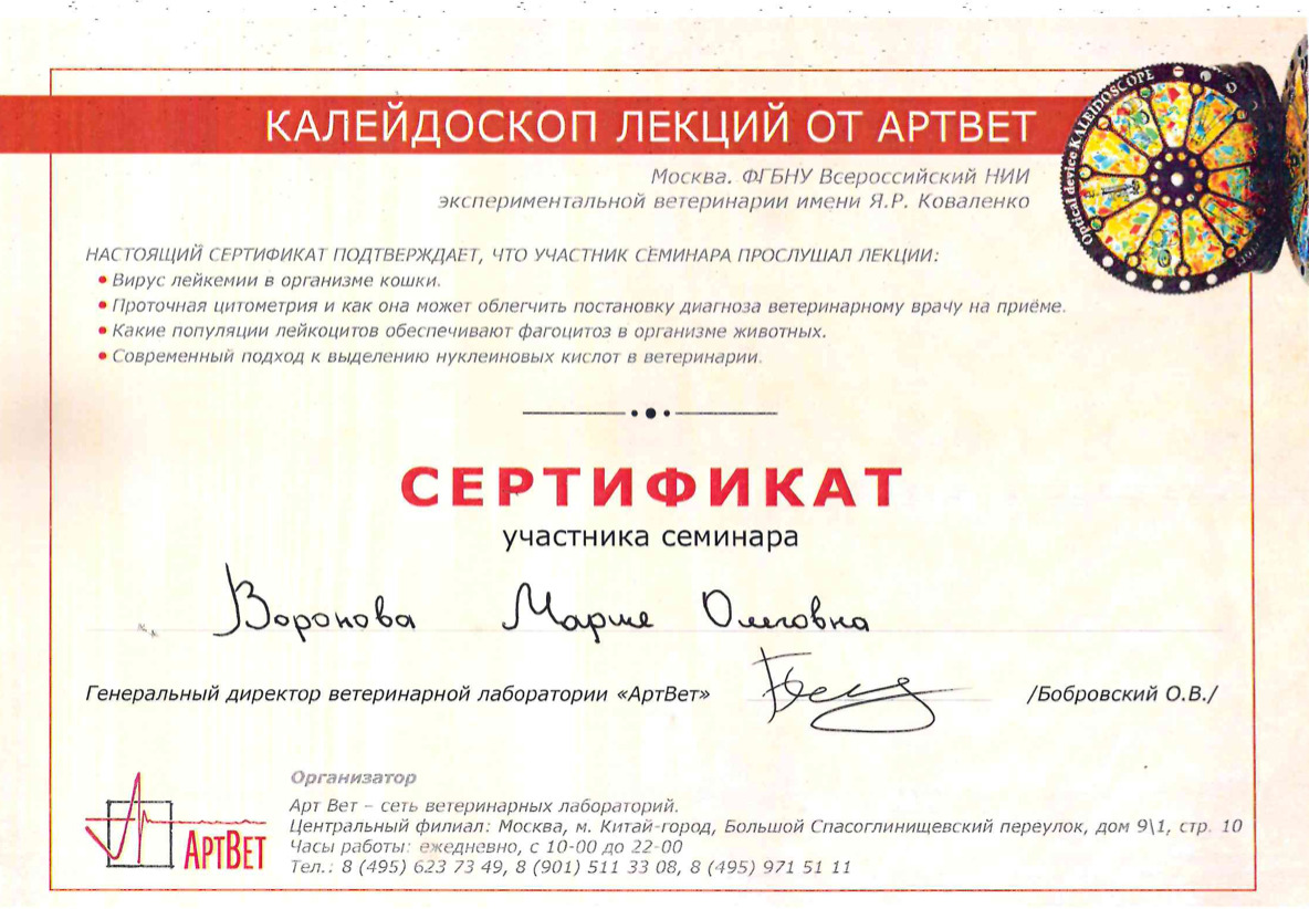 Документ или сертификат