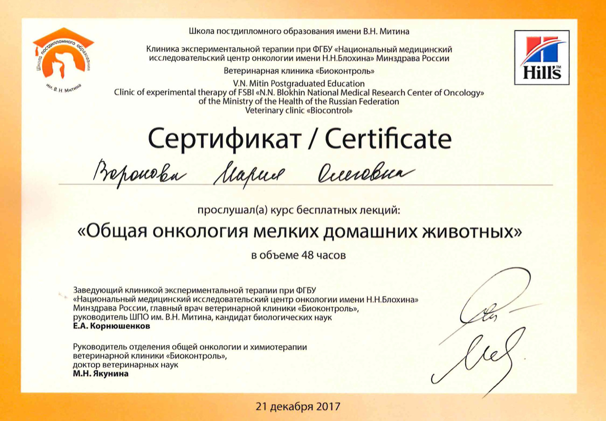 Документ или сертификат