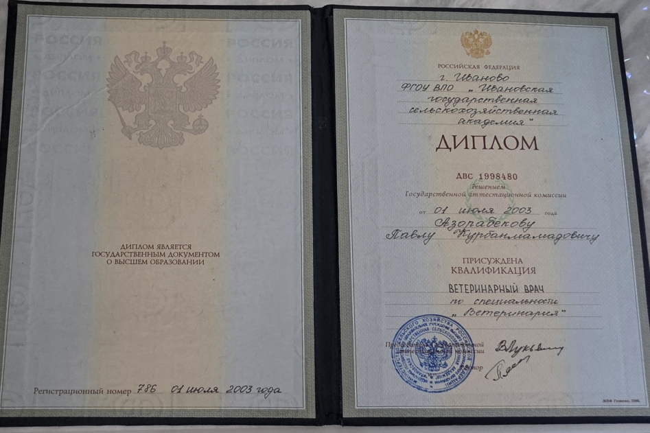 Документ или сертификат