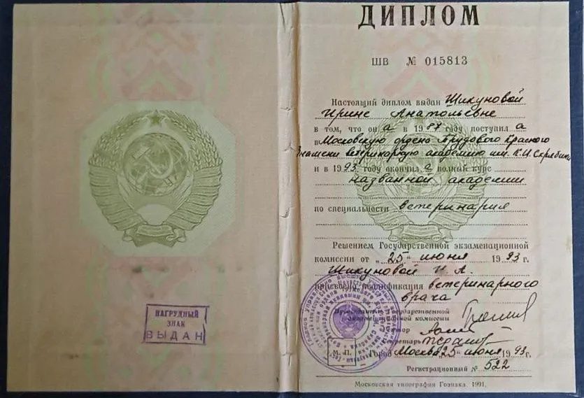 Документ или сертификат