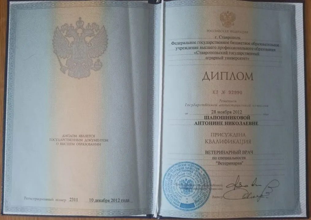 Документ или сертификат