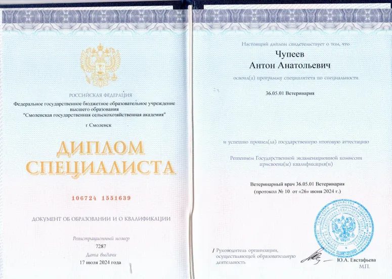 Документ или сертификат