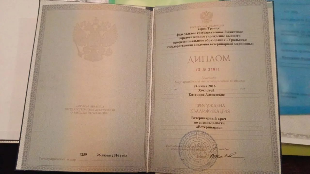 Документ или сертификат