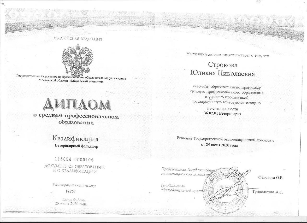 Документ или сертификат
