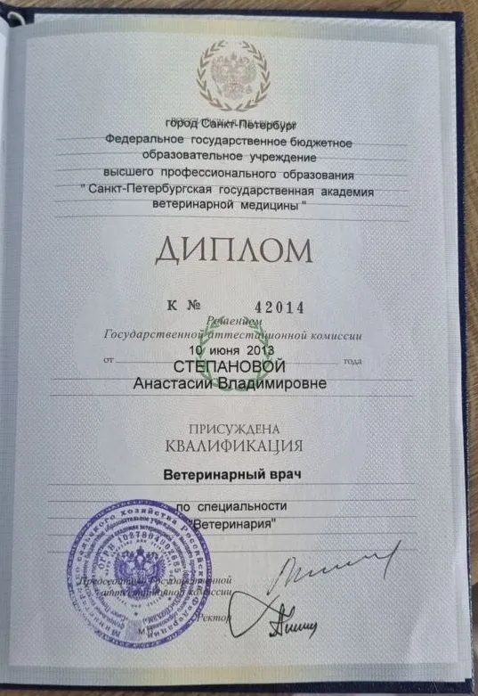 Документ или сертификат