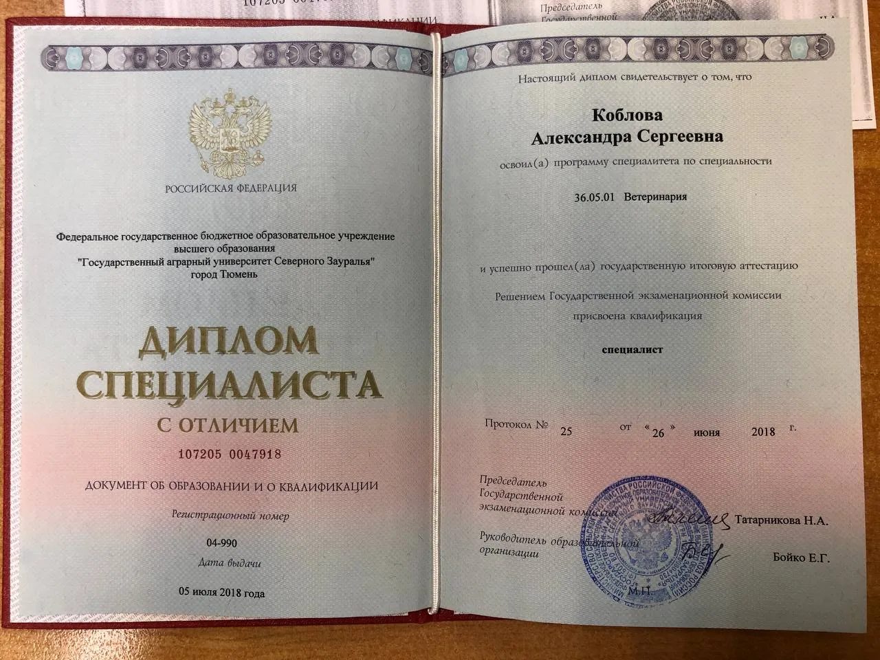Документ или сертификат