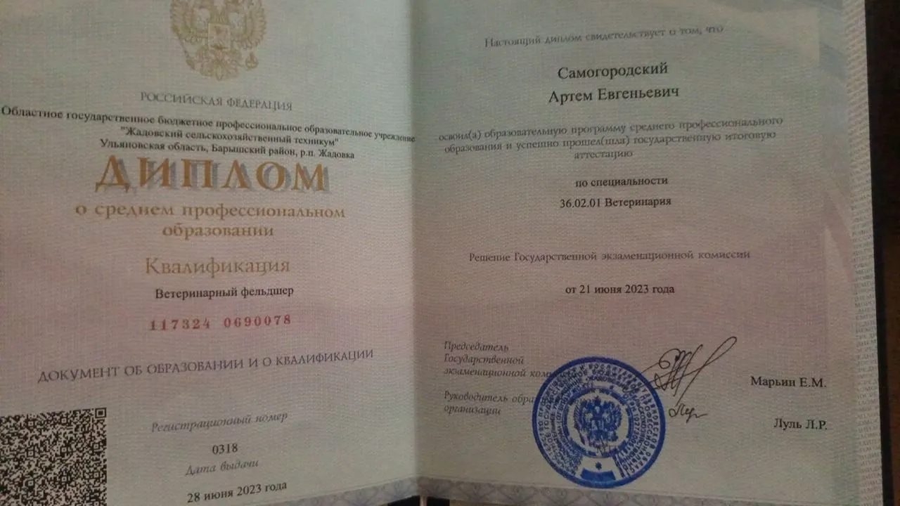 Документ или сертификат