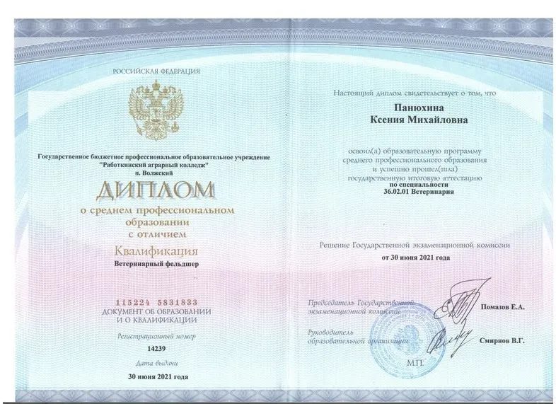 Документ или сертификат