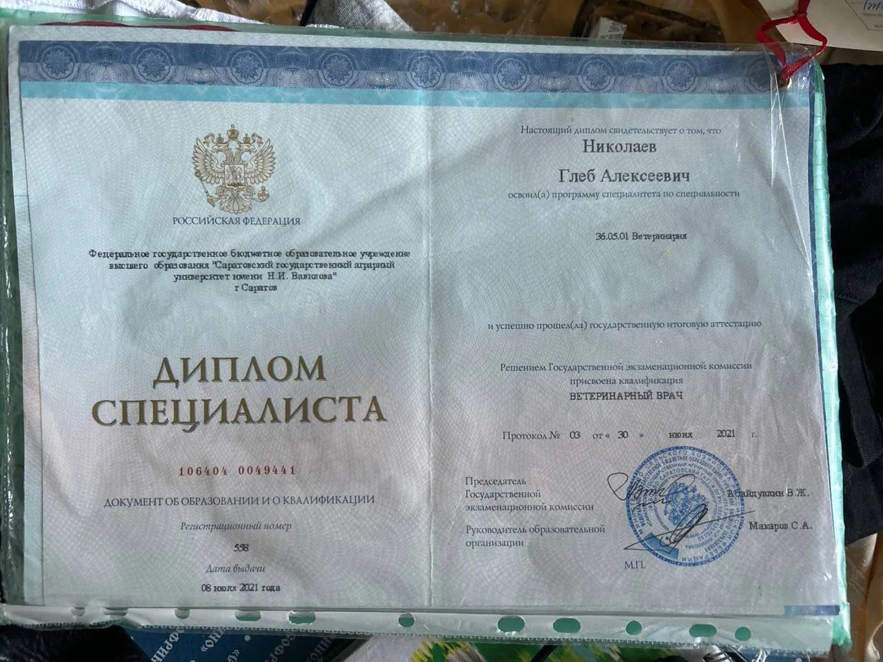 Документ или сертификат
