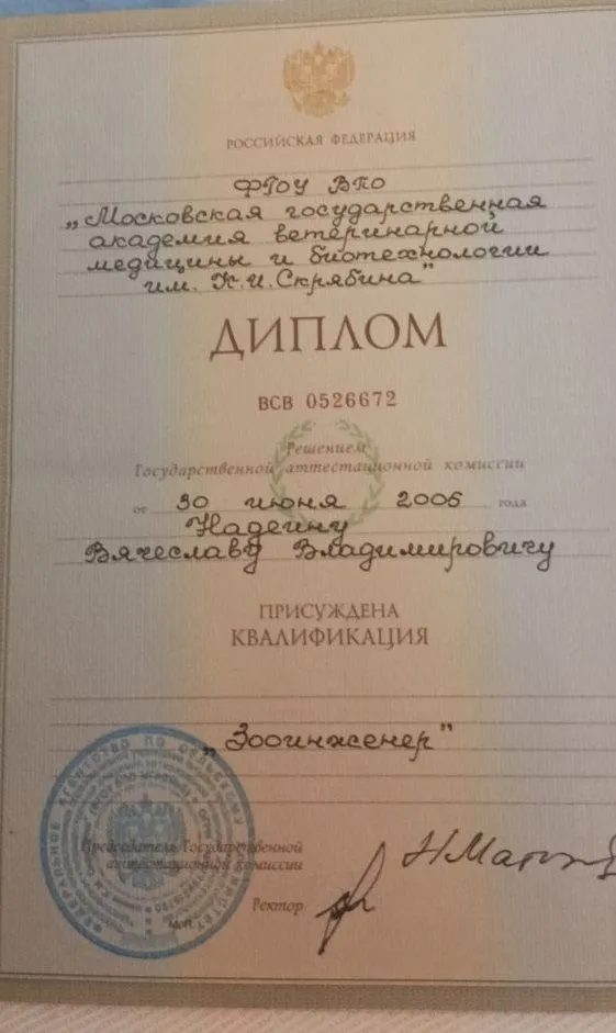 Документ или сертификат