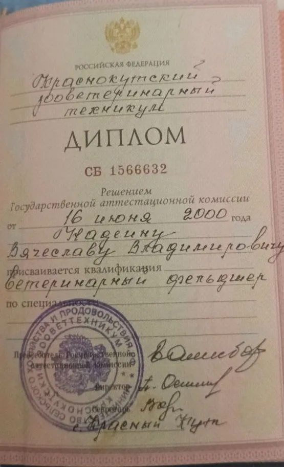 Документ или сертификат