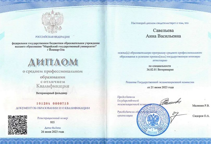 Документ или сертификат