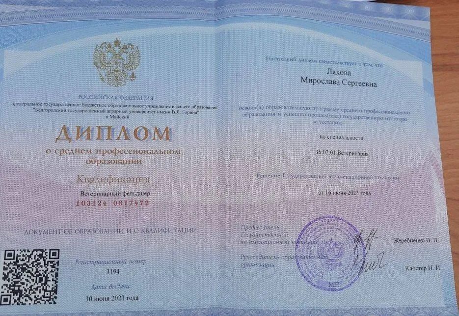 Документ или сертификат