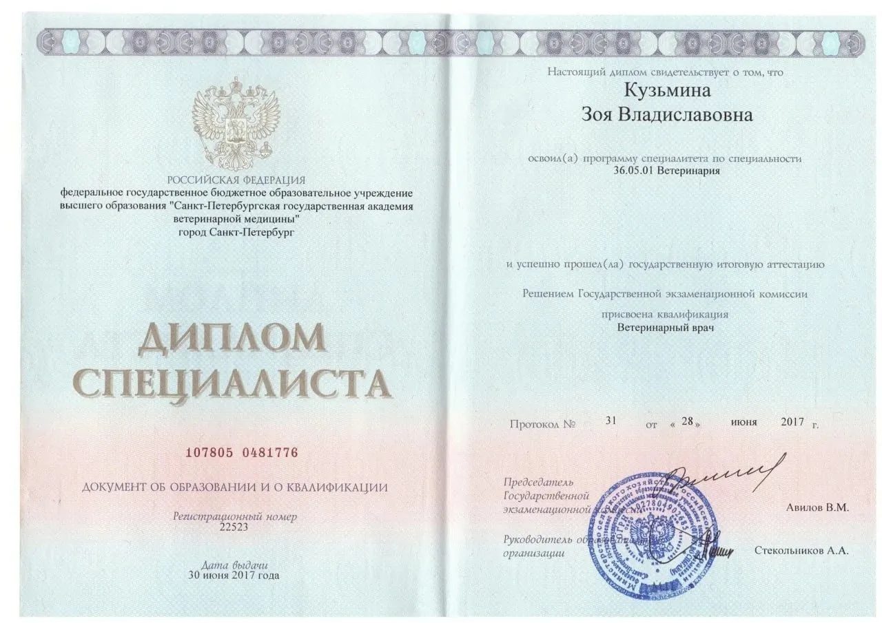 Документ или сертификат