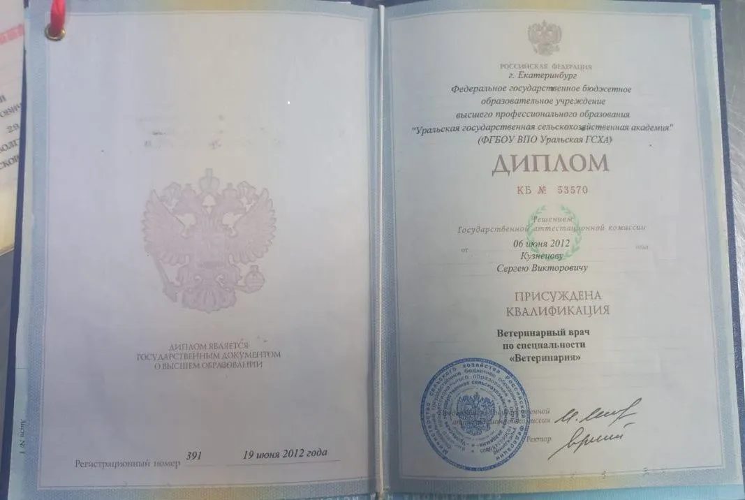Документ или сертификат