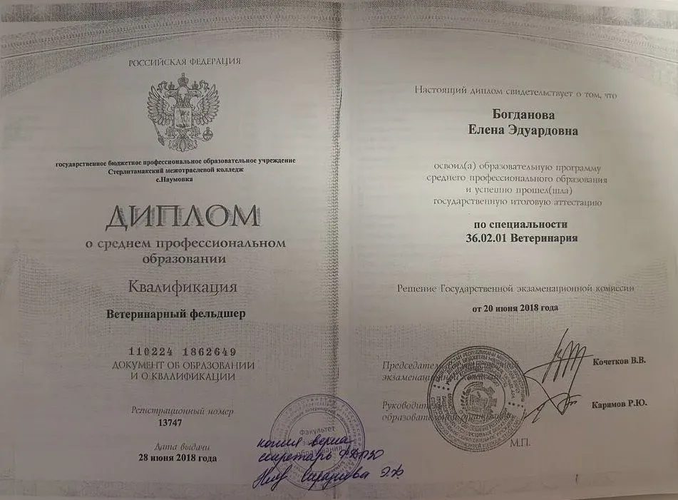 Документ или сертификат