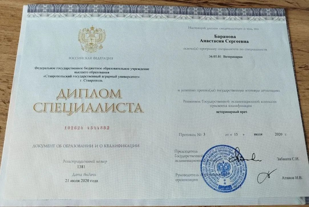 Документ или сертификат