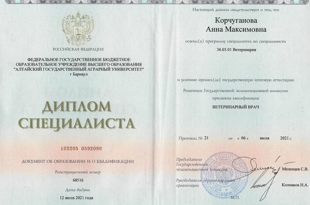 Документ или сертификат