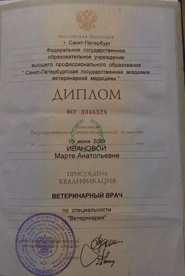 Документ или сертификат