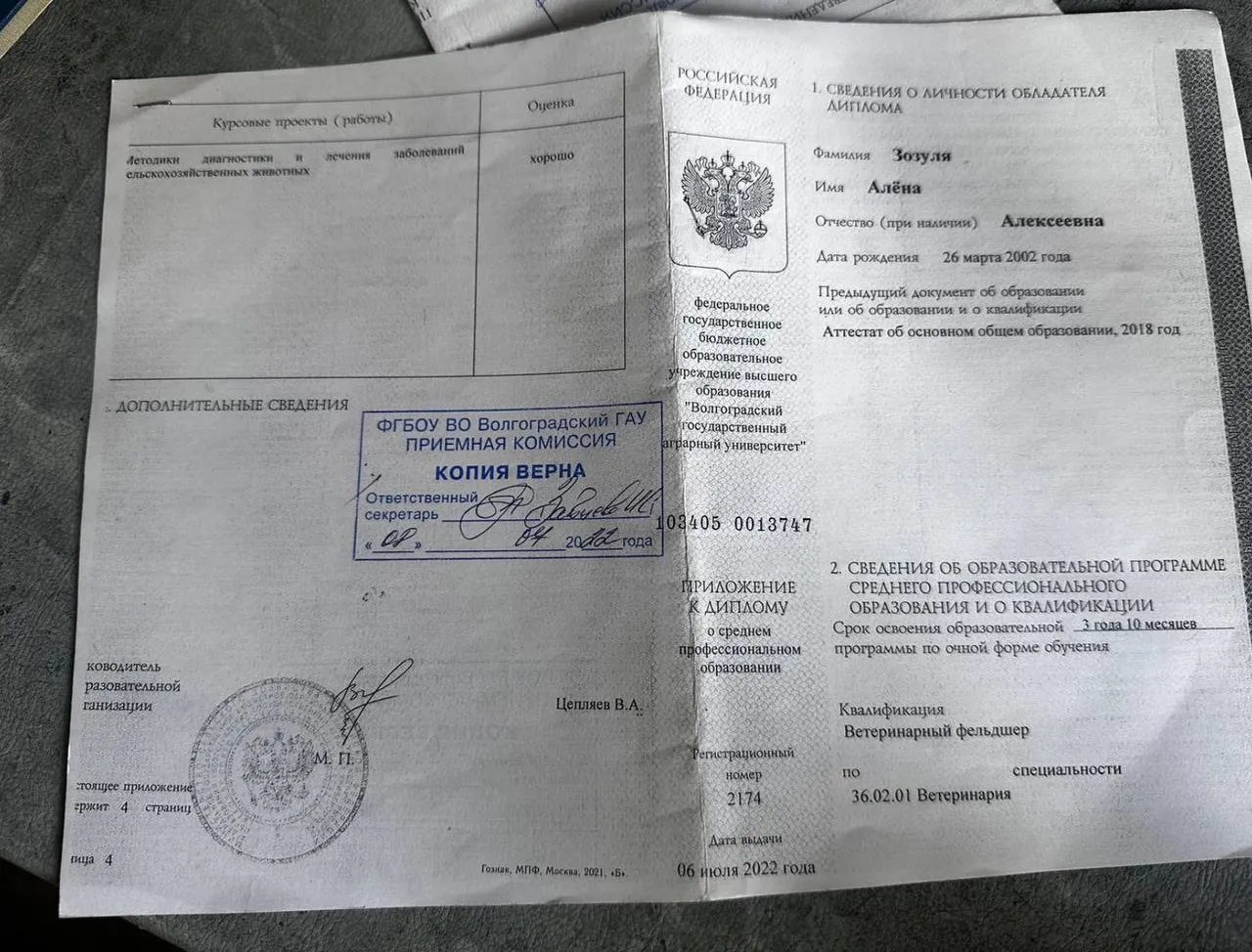 Документ или сертификат