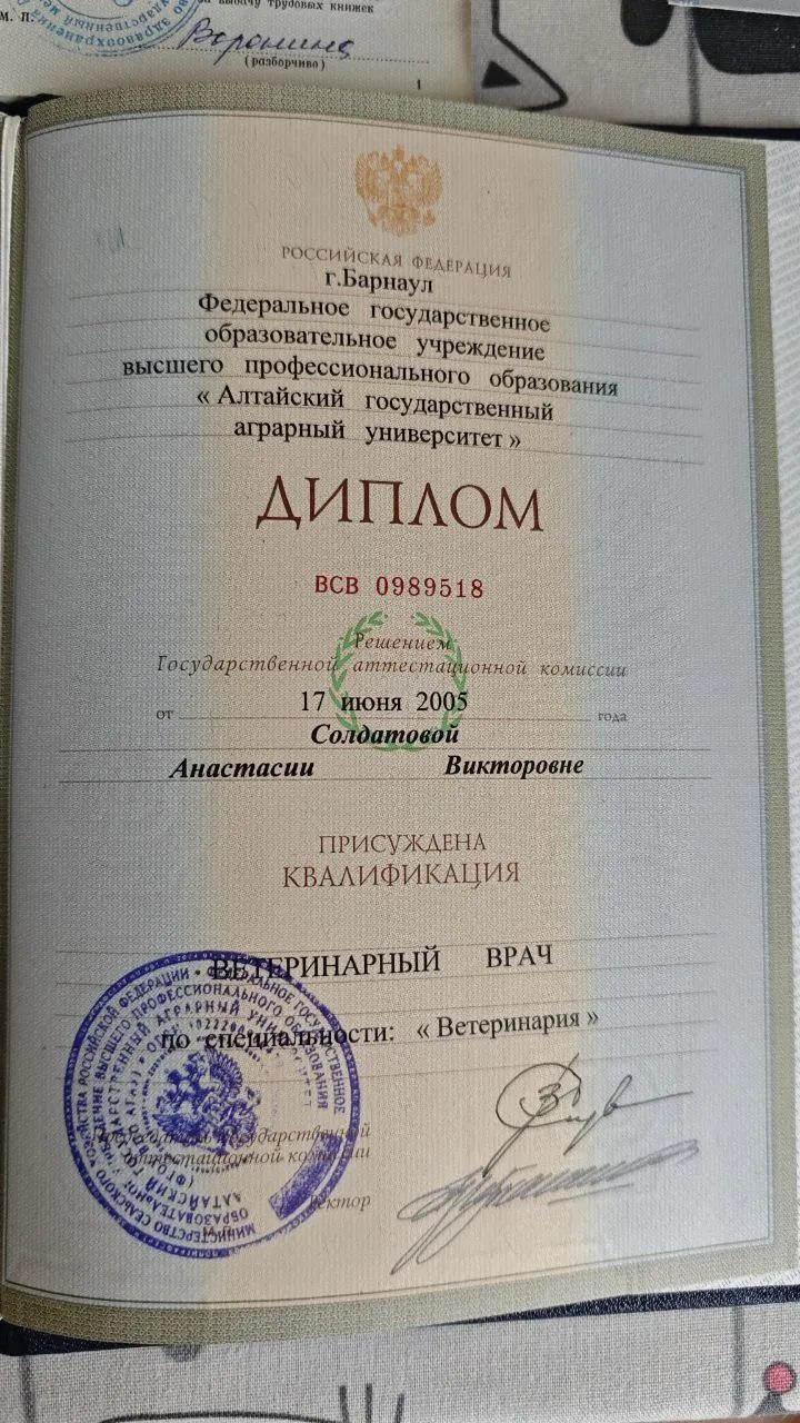 Документ или сертификат