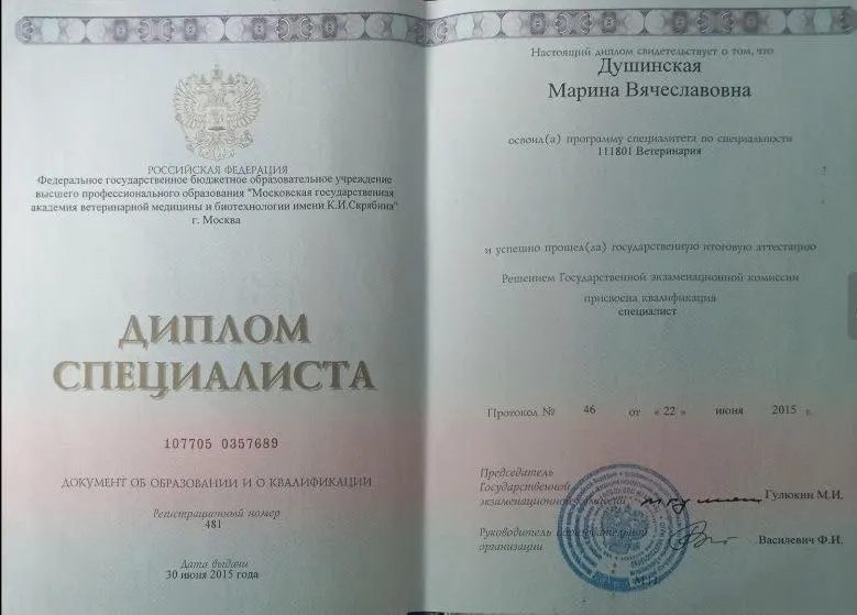 Документ или сертификат