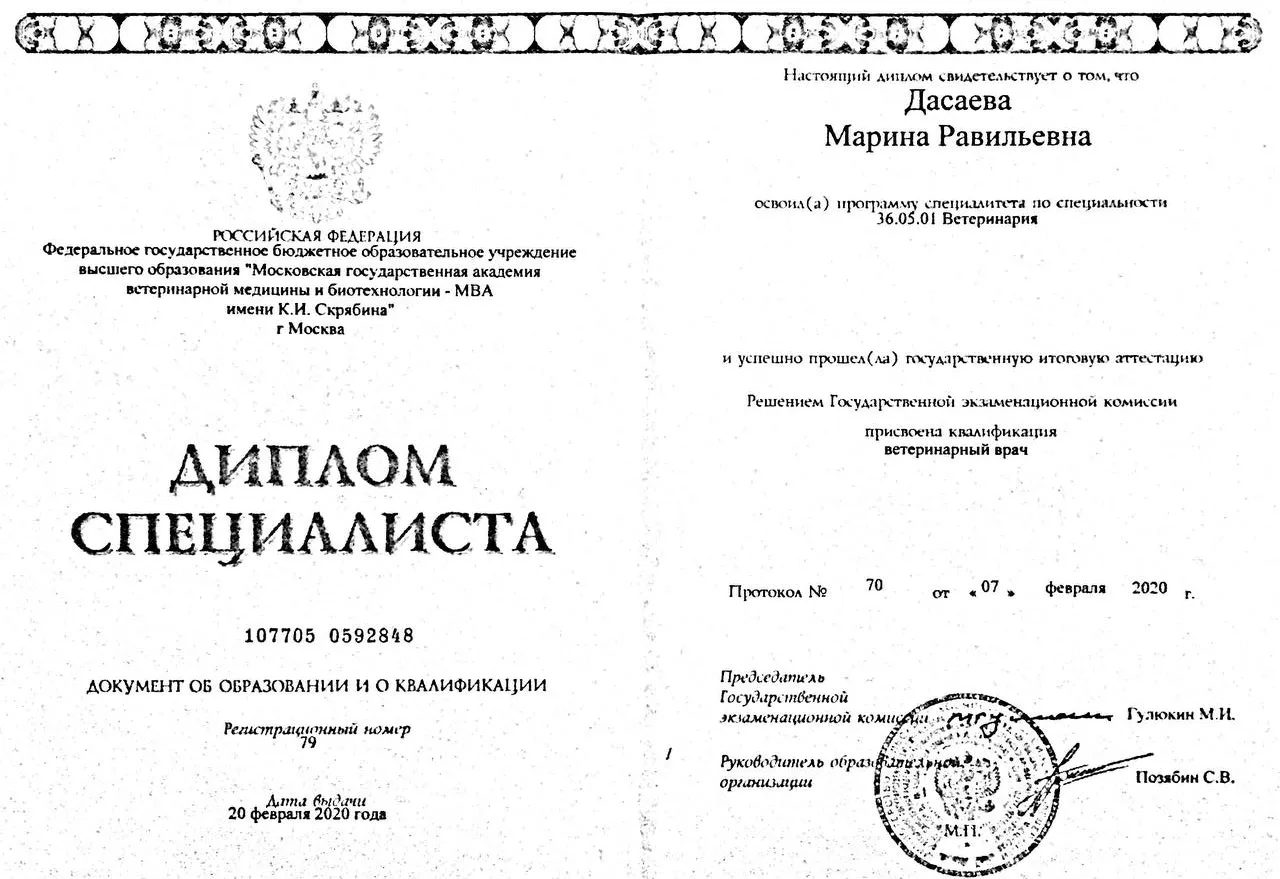 Документ или сертификат