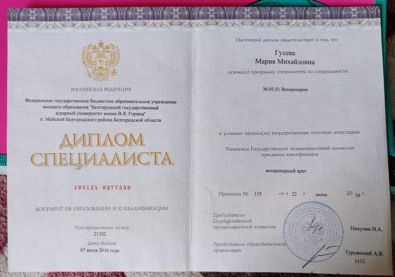 Документ или сертификат