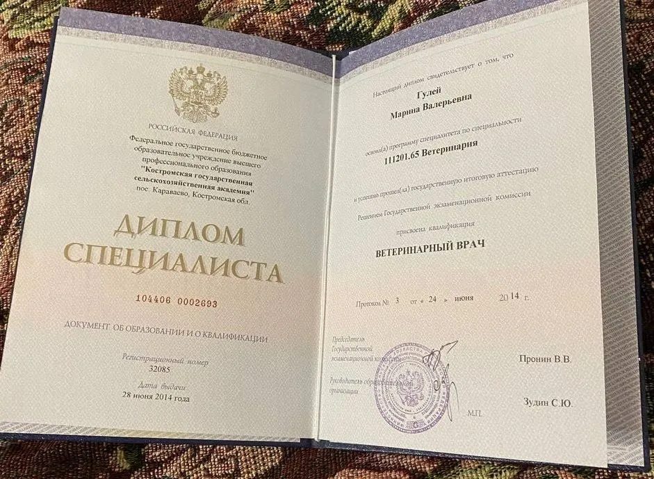 Документ или сертификат