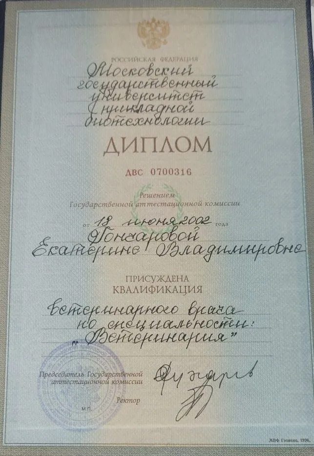 Документ или сертификат