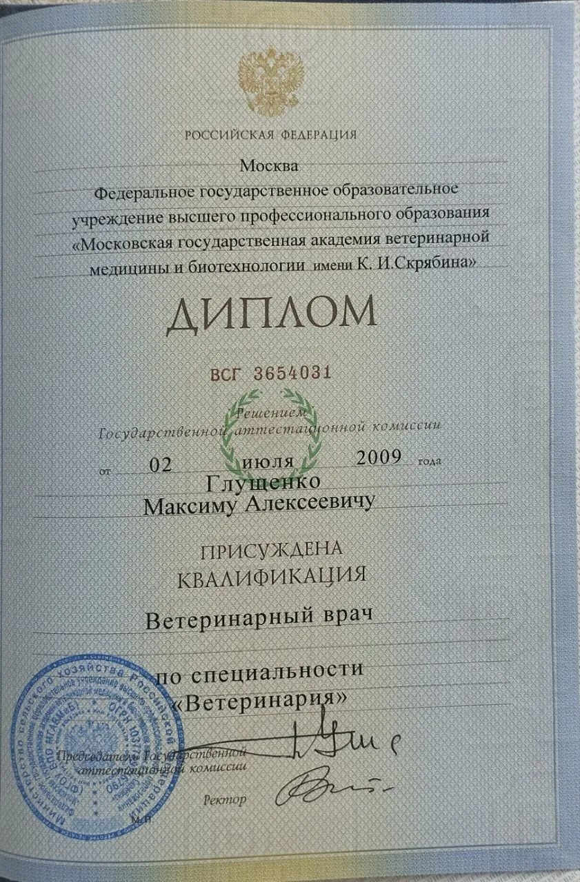 Документ или сертификат
